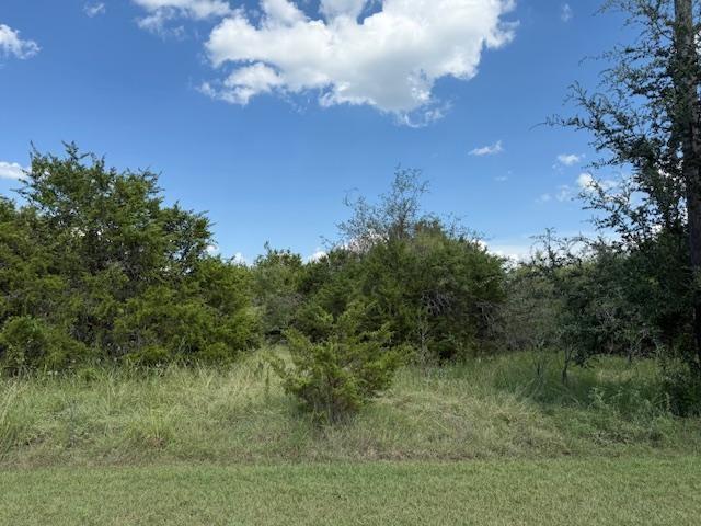 39231 Cedar Park Drive Property Photo 1