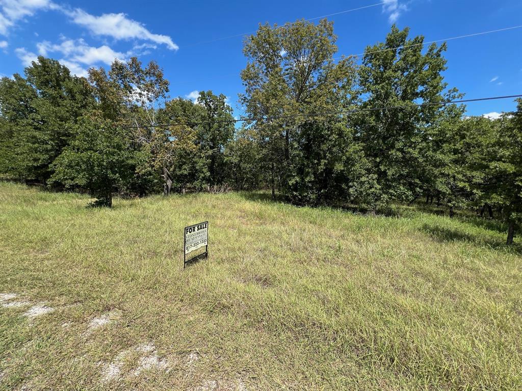 107 Mustang Springs Circle Property Photo 1