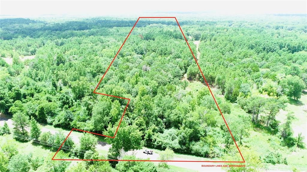 0 County Road 3419 Property Photo 1