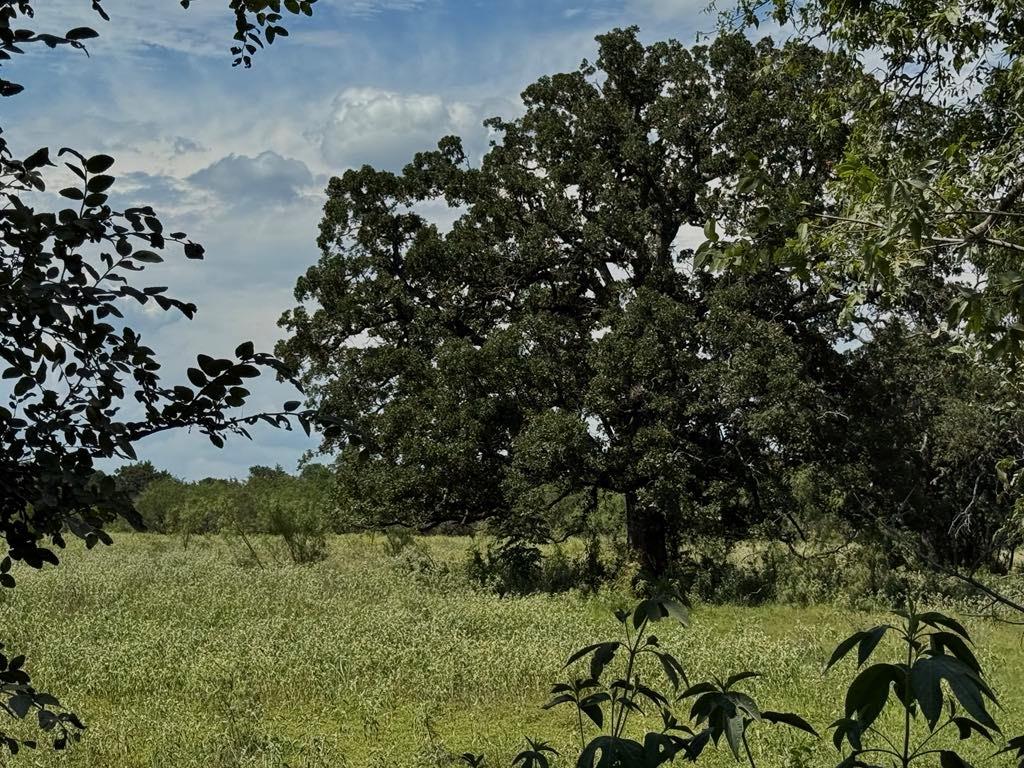 Tbd Hwy 6 Property Photo 28
