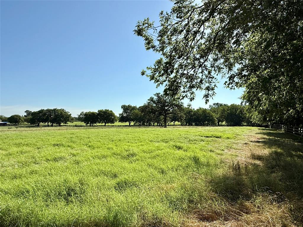 Tbd W W Jeter Road Property Photo 7