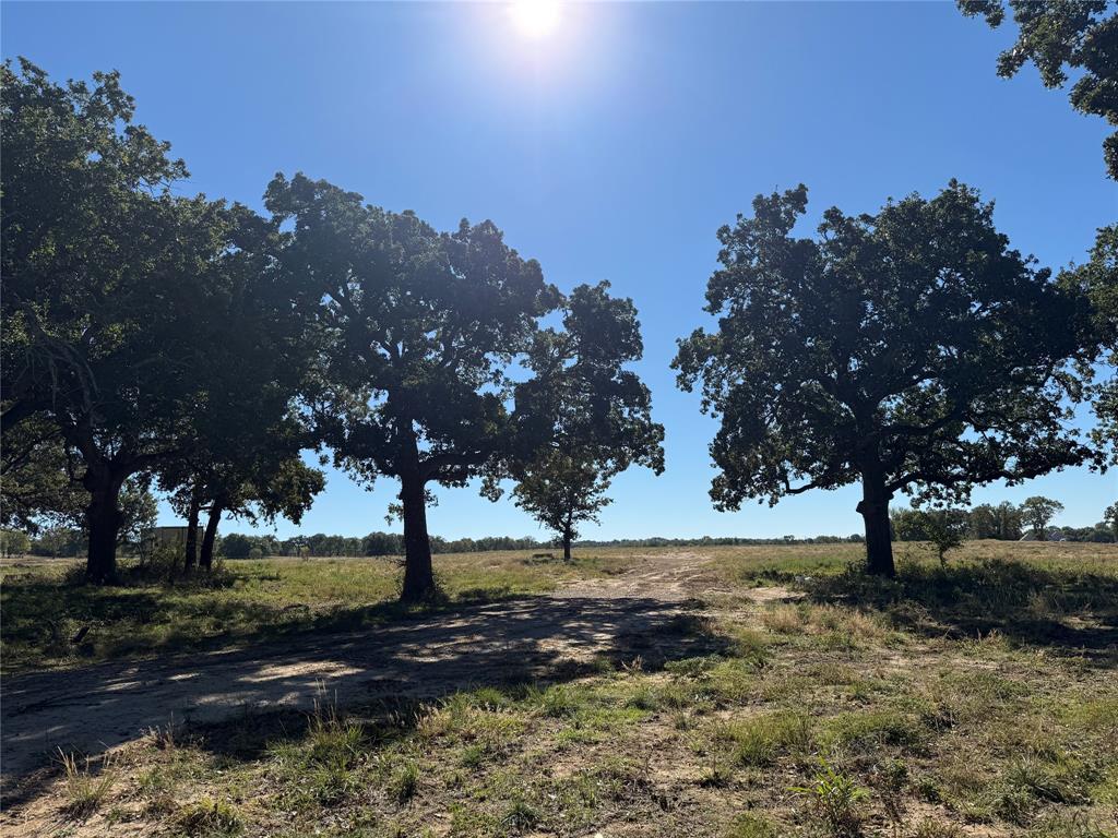 Lot 58 Camden Lane Property Photo 1
