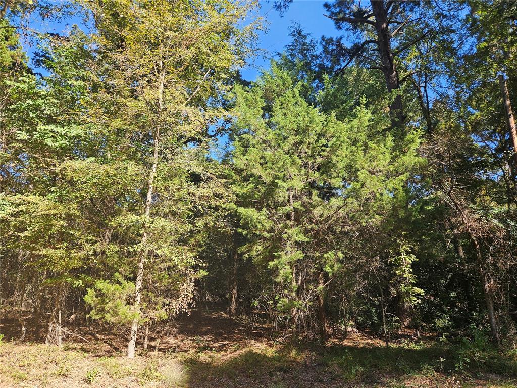152 Timber Bluff Road Property Photo 1