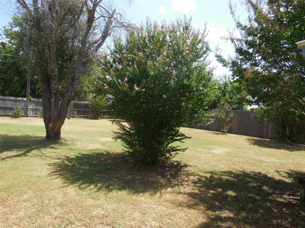 316 Mesquite Street Property Photo 3