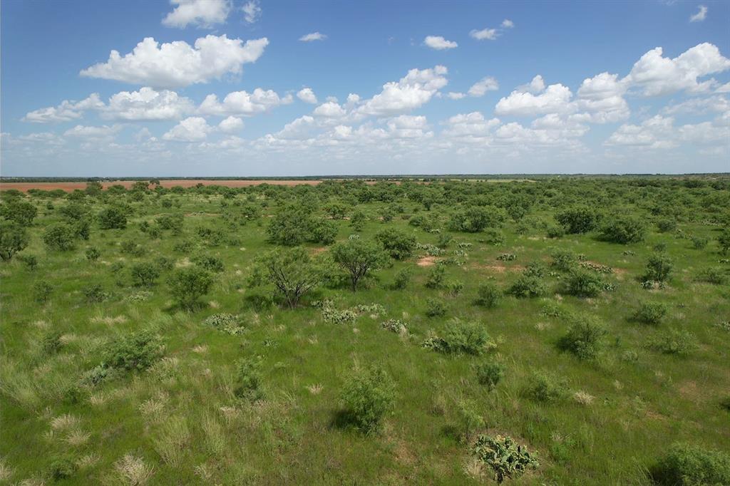 Tbd 10+- Acres Cr 495 Property Photo 1