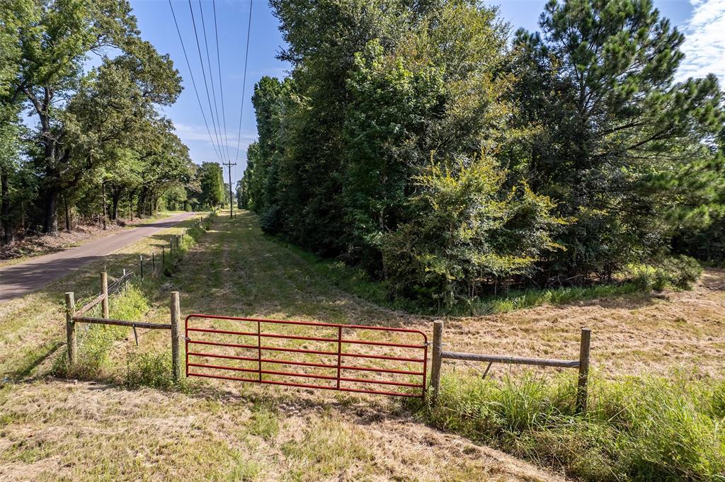 Tbd County Road 2115 Property Photo 1