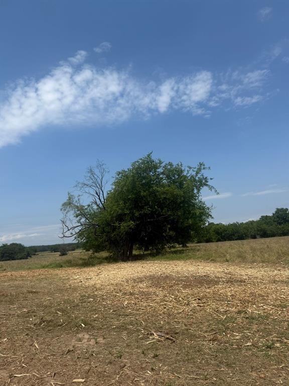 Tract 5 County Road 3562 Property Photo 1