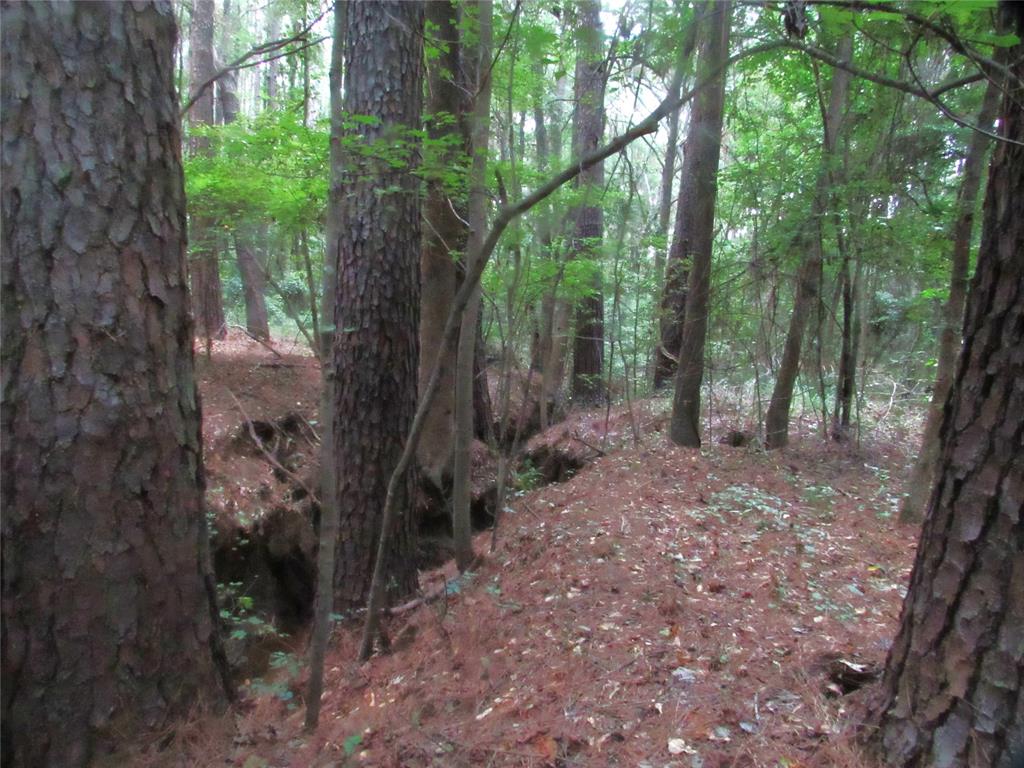 Tbd Fm 1793 Property Photo 1