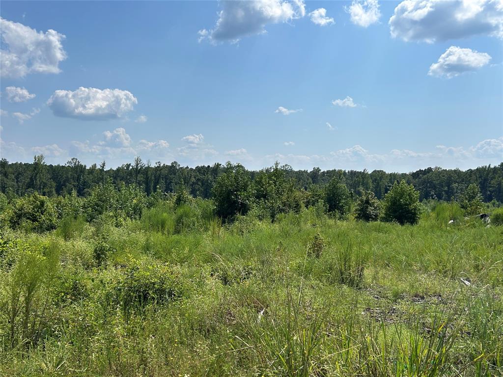 000 Dorcheat Road Property Photo 4