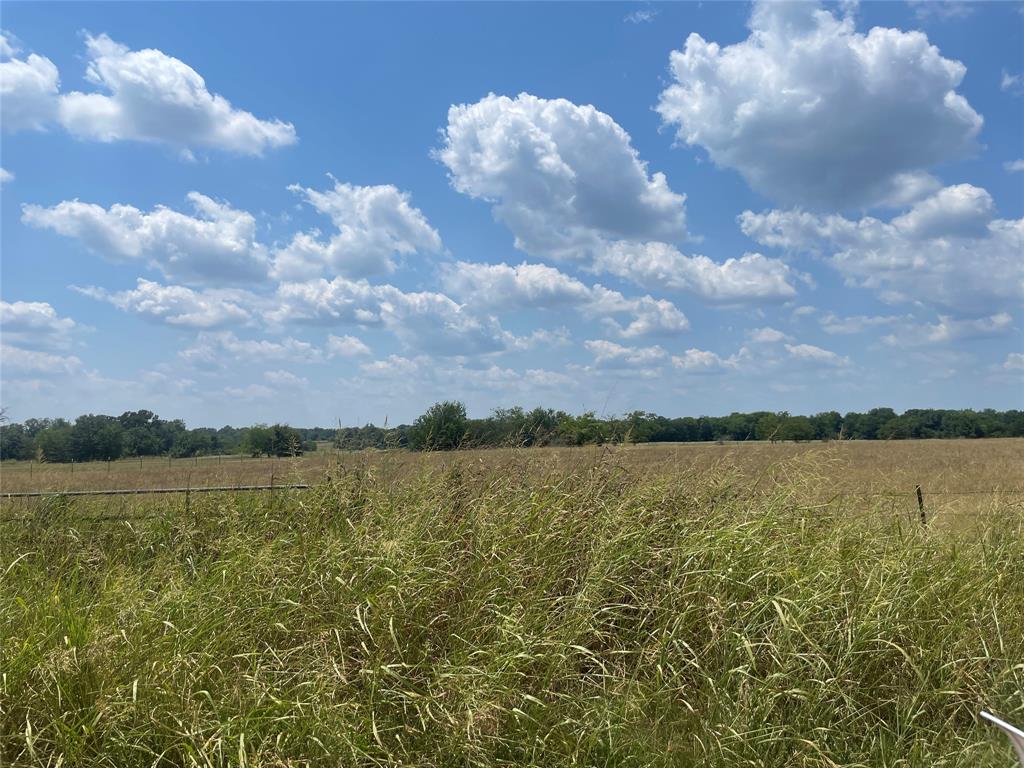 Tbd Cr 3561 Property Photo 1