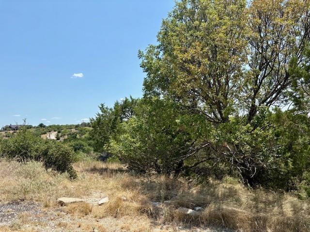 Lot 246 Broadmoor Court Property Photo 1