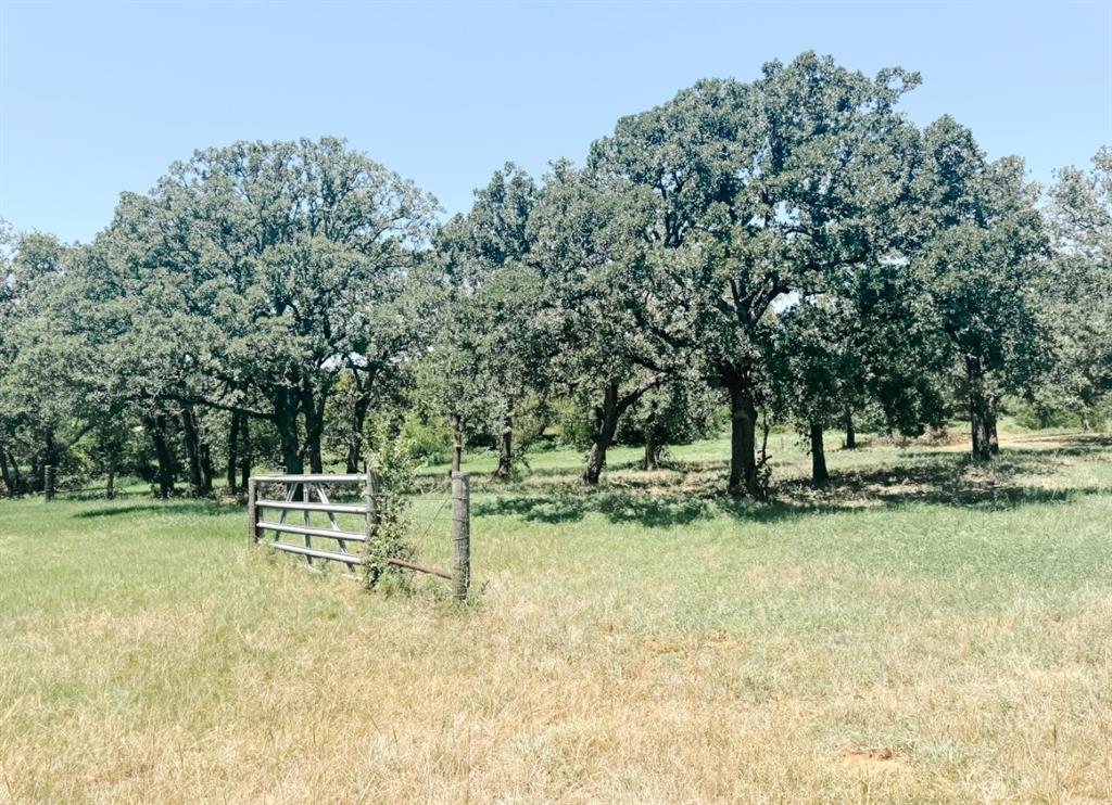 13610 Highway 183 Property Photo 35