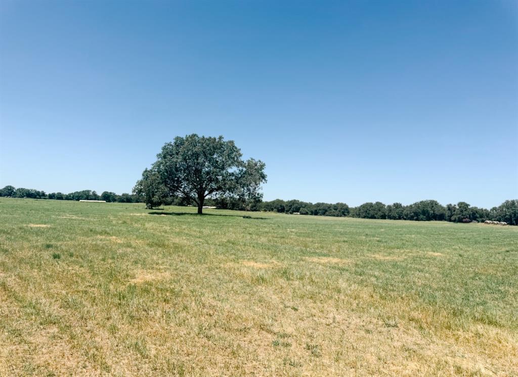 13610 Highway 183 Property Photo 40