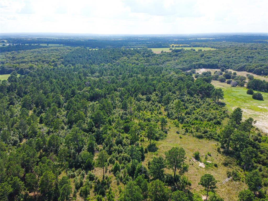 Tbd Vz Cr 4702 Property Photo 1