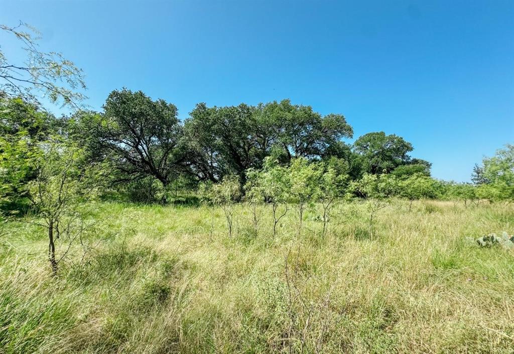 Lot 6 Morris Sheppard Drive Property Photo 1