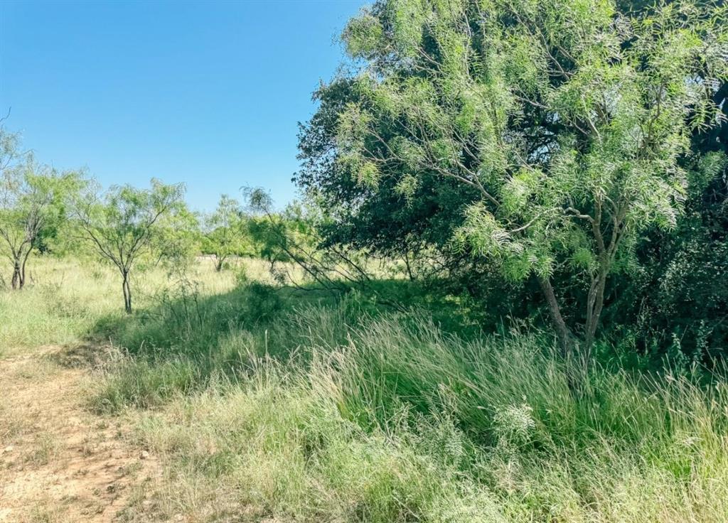 Lot 4 Morris Sheppard Drive Property Photo 1