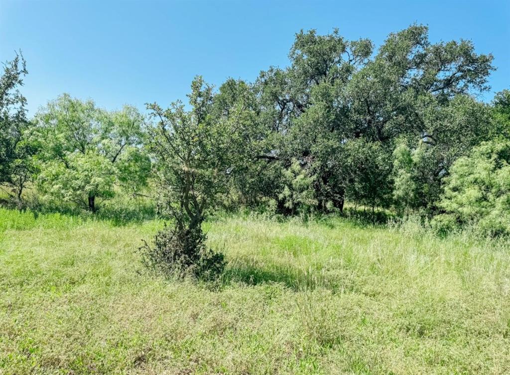 Lot 5 Morris Sheppard Drive Property Photo 1
