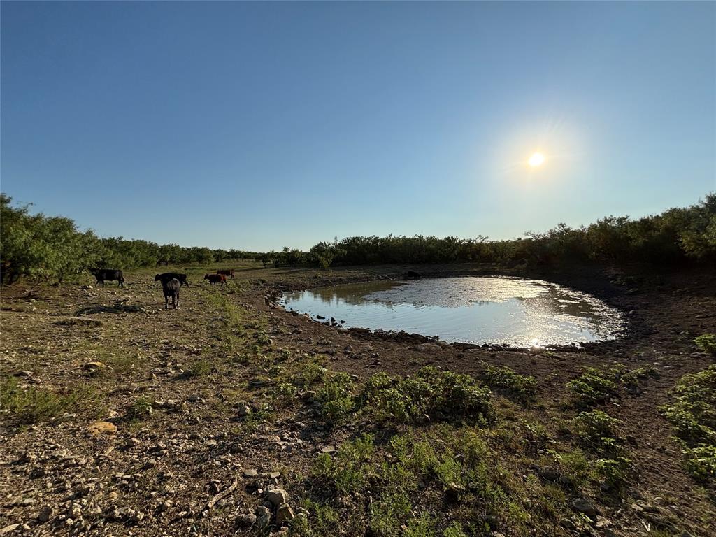 Tbd County Road 100 Property Photo 1