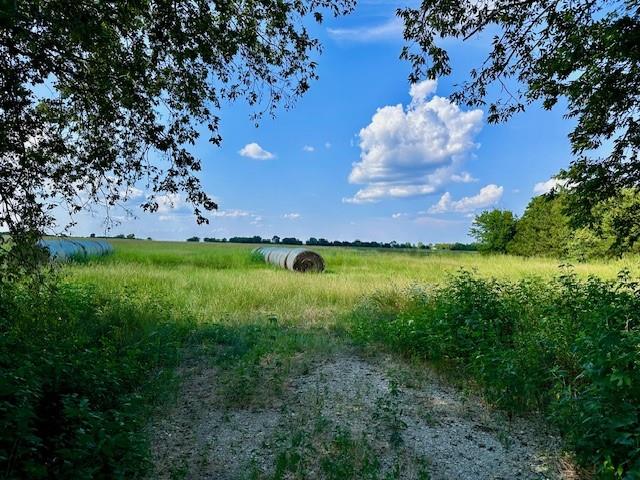 Tbd 19.933ac Tx-11 Property Photo 1