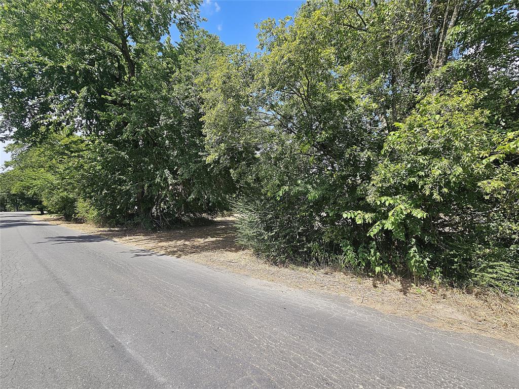1.114 Ac Henderson Boulevard Property Photo 7