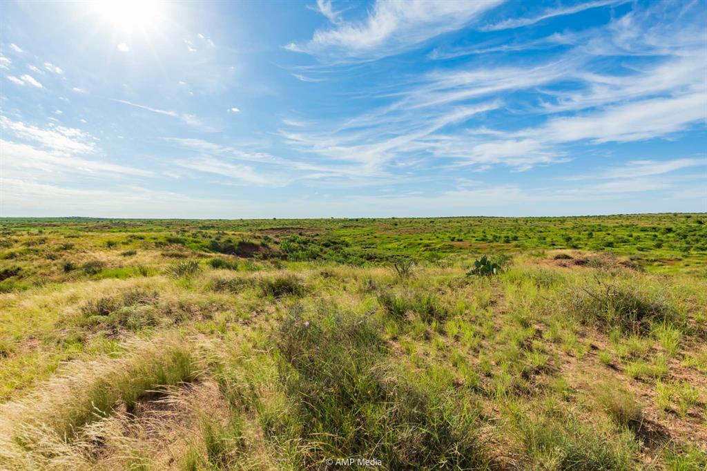 Tbd Fm 610 Property Photo 6