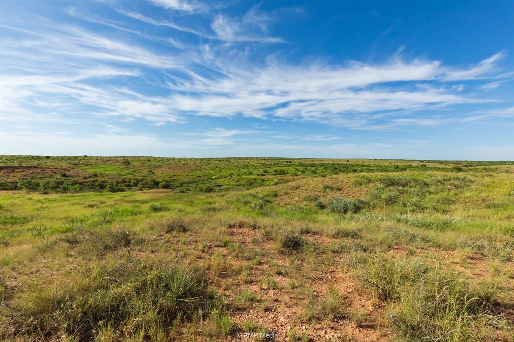Tbd Fm 610 Property Photo 7