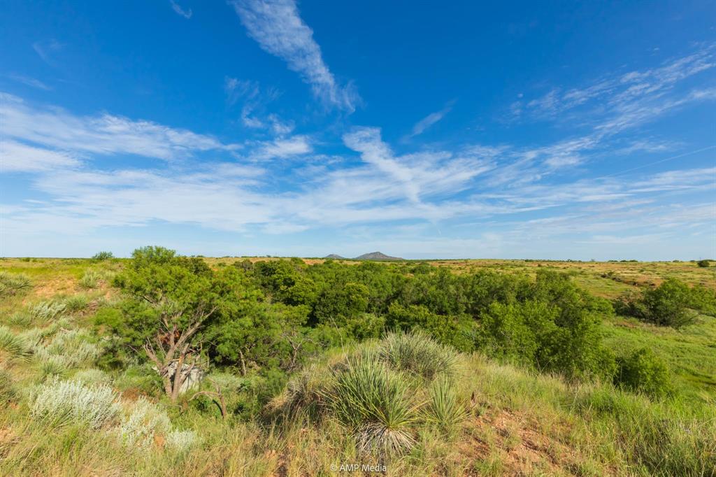 Tbd Fm 610 Property Photo 8