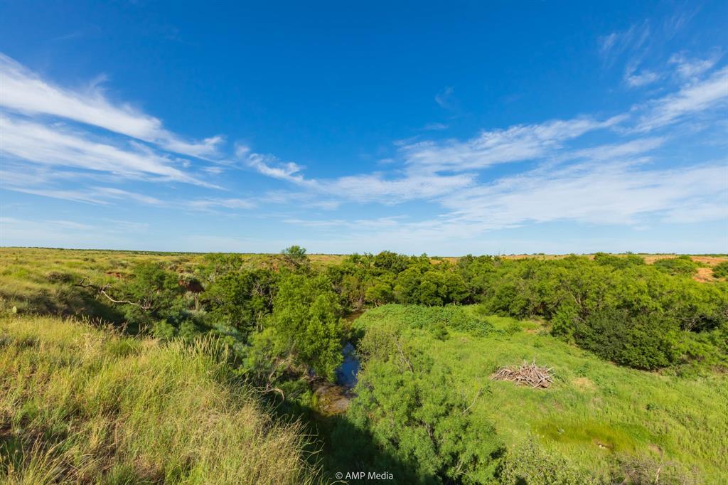 Tbd Fm 610 Property Photo 9