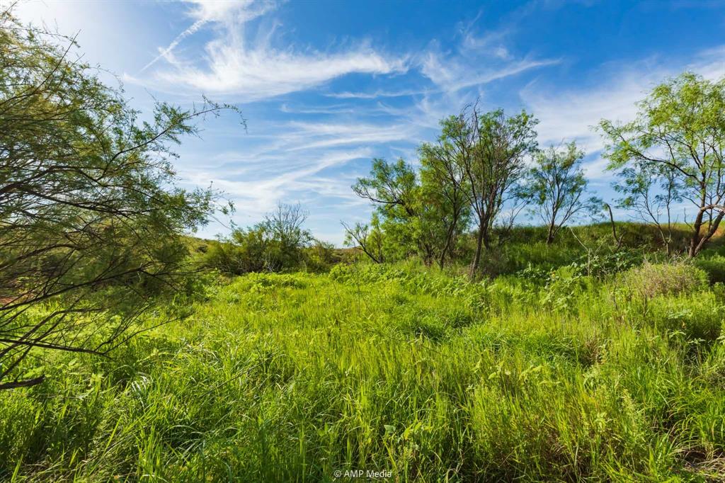 Tbd Fm 610 Property Photo 10