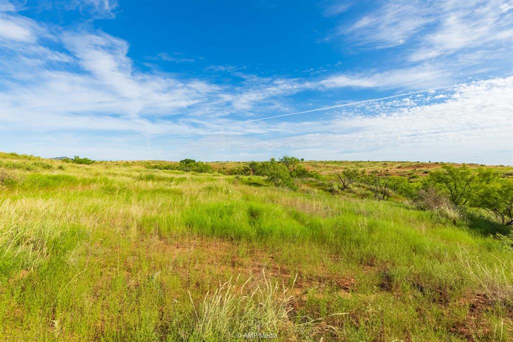 Tbd Fm 610 Property Photo 12