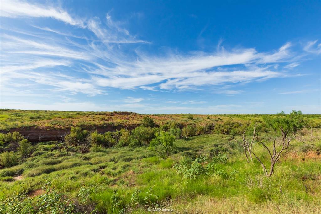 Tbd Fm 610 Property Photo 13
