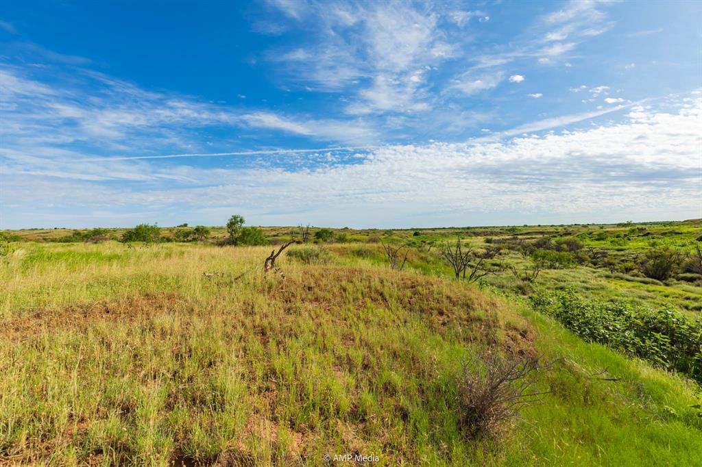 Tbd Fm 610 Property Photo 14