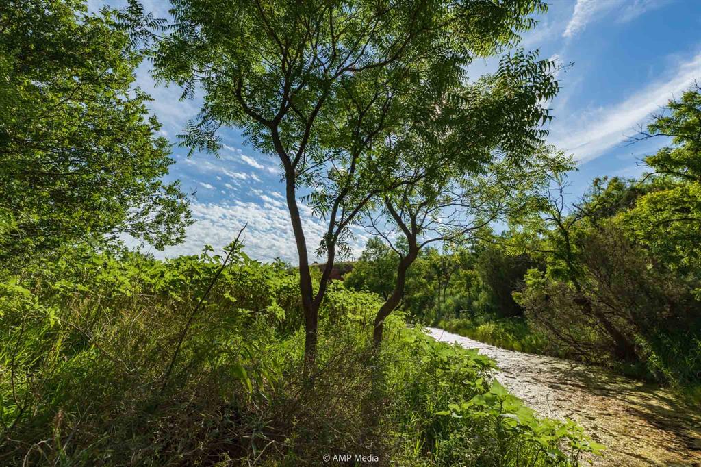 Tbd Fm 610 Property Photo 16