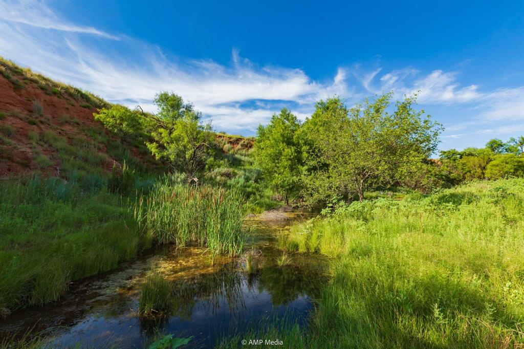 Tbd Fm 610 Property Photo 17