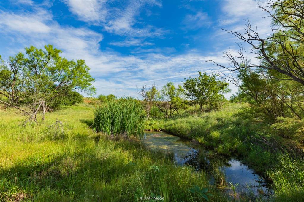 Tbd Fm 610 Property Photo 18