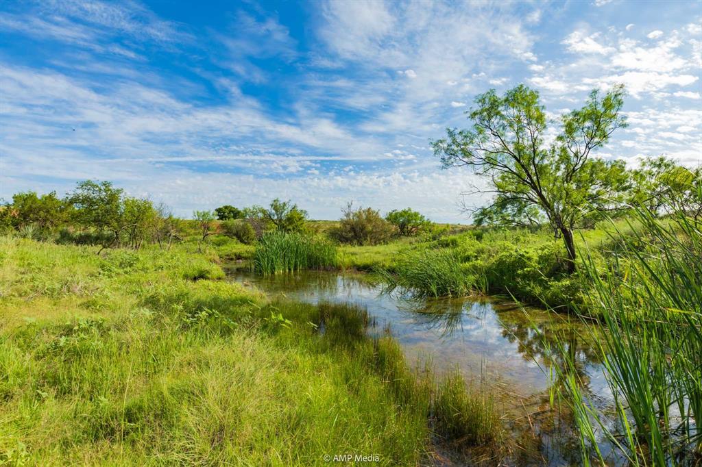 Tbd Fm 610 Property Photo 19
