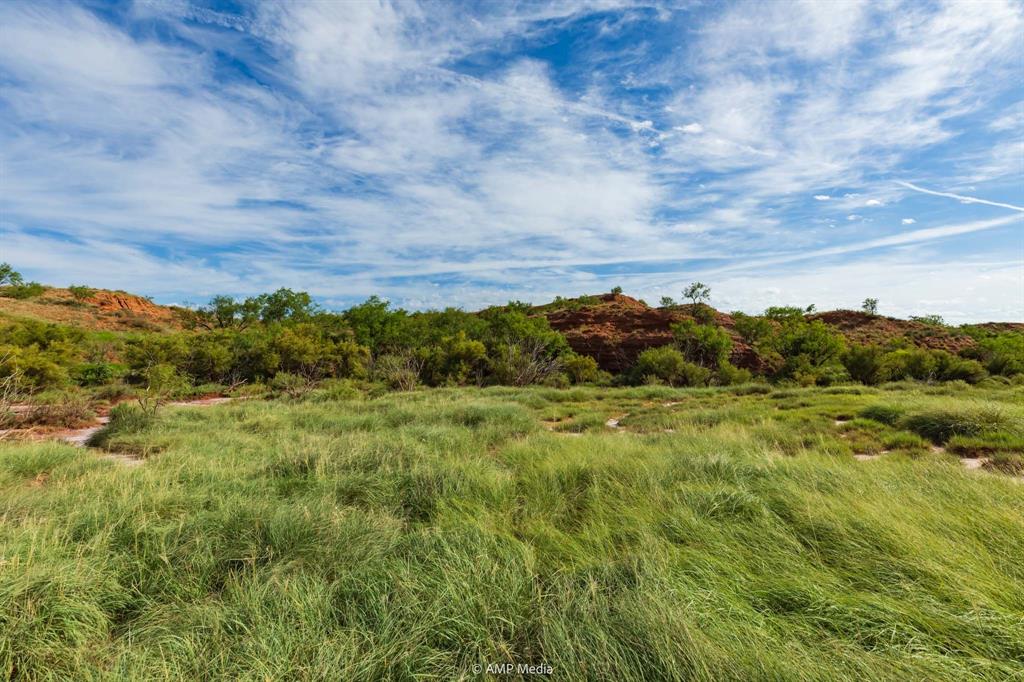 Tbd Fm 610 Property Photo 23