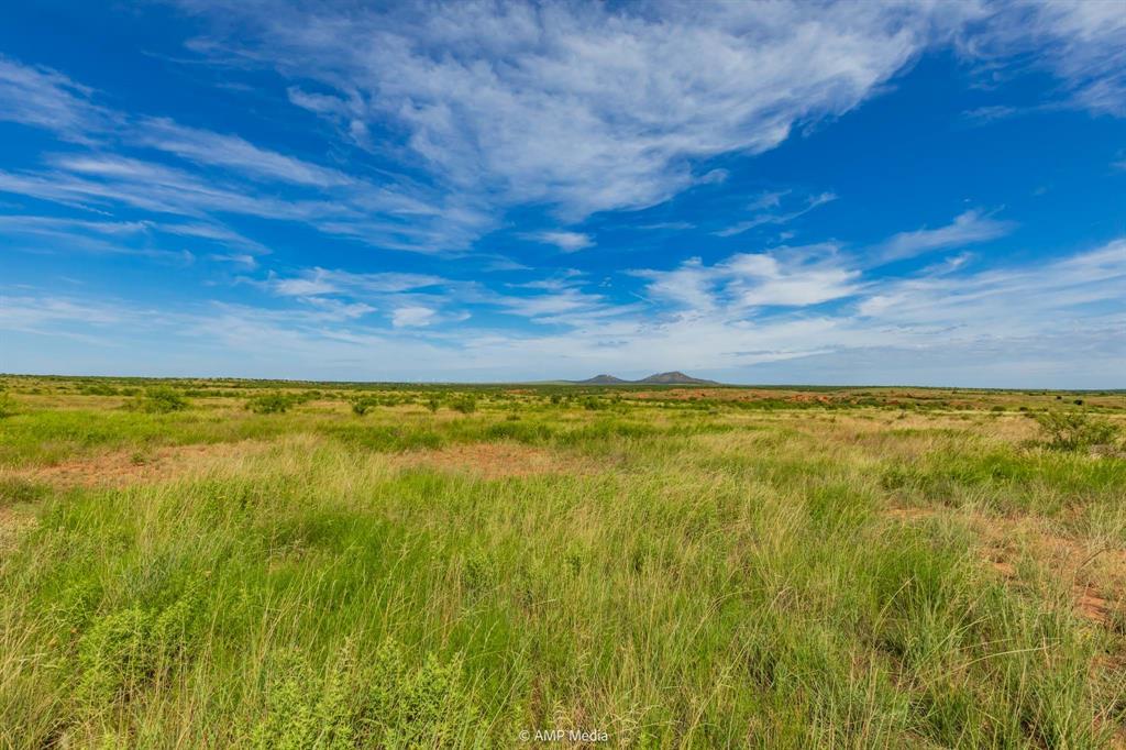 Tbd Fm 610 Property Photo 34
