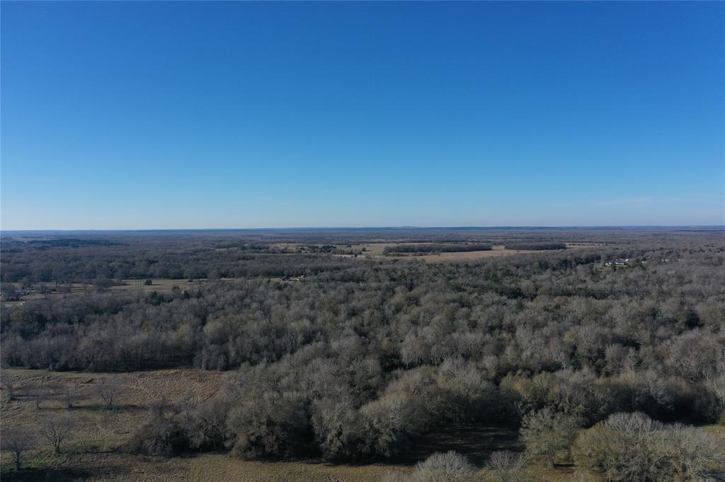 Tract 2 FM 321 Property Photo 1