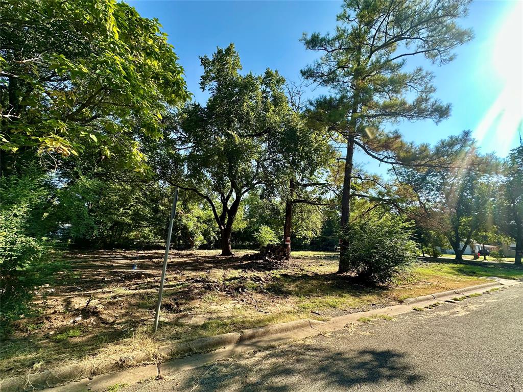 358 13th Street Property Photo 3