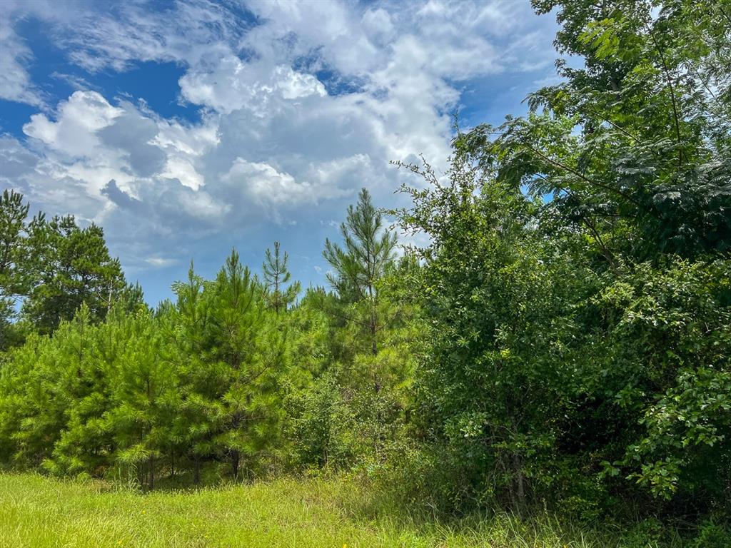 0 Fm 2939 Property Photo 3