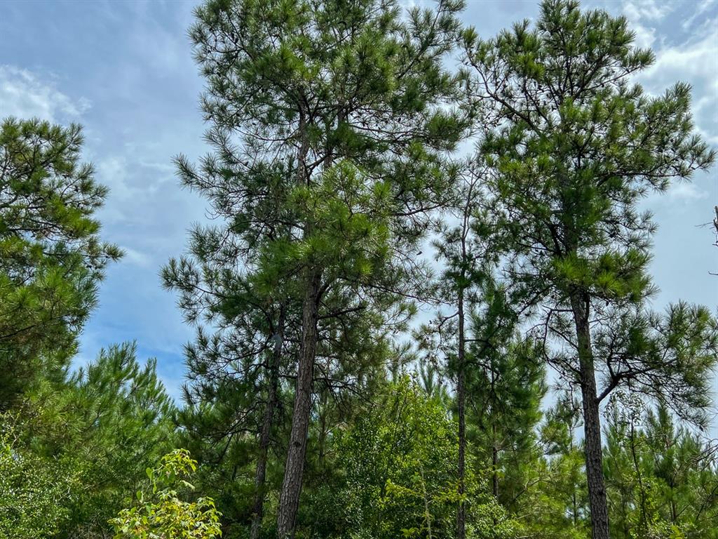 0 Fm 2939 Property Photo 4