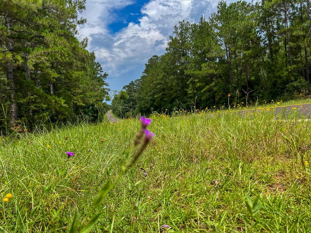 0 Fm 2939 Property Photo 6