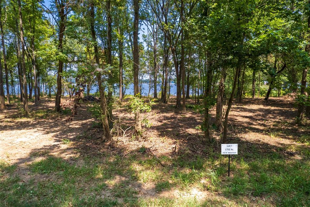 Tbd Pr 52447 Property Photo 1