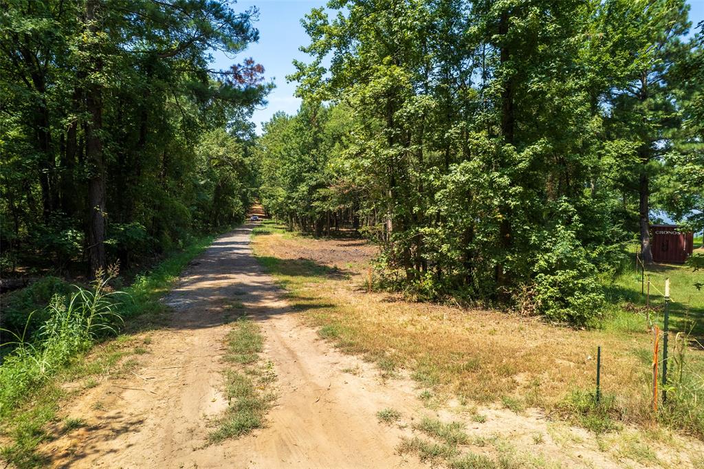 Tbd Pr 52447 Property Photo 7