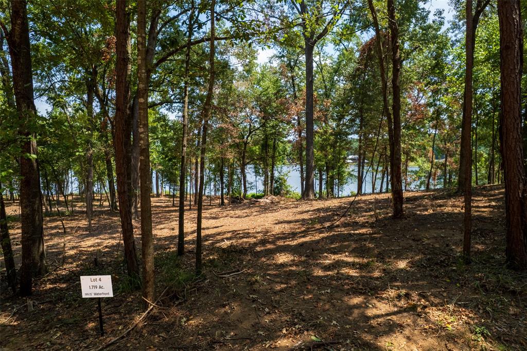 Tbd Pr-52447 Property Photo 1