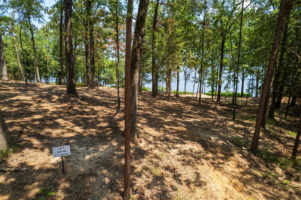 Tbd Pr Rd52447 Property Photo 1