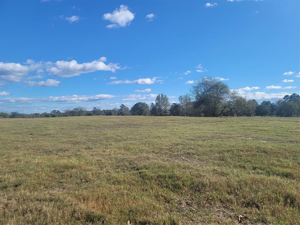 12403 Fm 1975 Parcel A Property Photo 3
