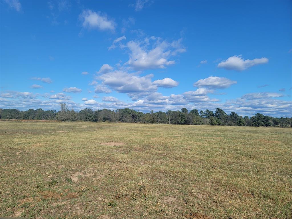 12403 Fm 1975 Parcel A Property Photo 5