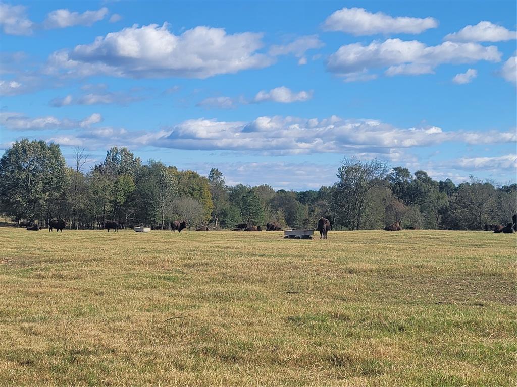 12403 Fm 1975 Parcel A Property Photo 11